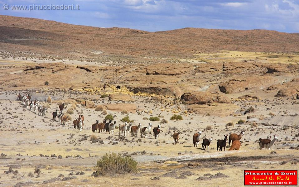 BOLIVIA 2 - Cordillera de Los Frailes - 35.jpg